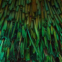 Unternehmen & Organisationen